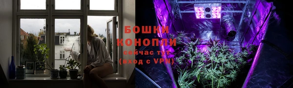 крисы Елизово