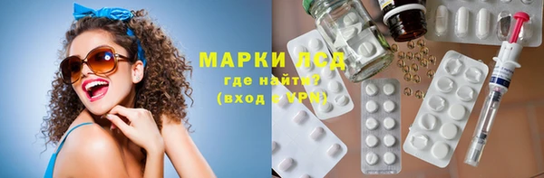 стаф Елабуга