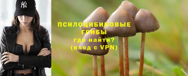 стаф Елабуга