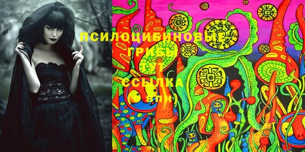 стаф Елабуга