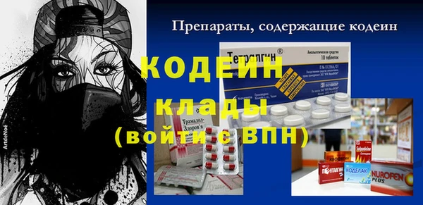 стаф Елабуга
