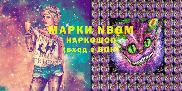 стаф Елабуга