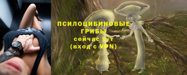 ешки Заполярный
