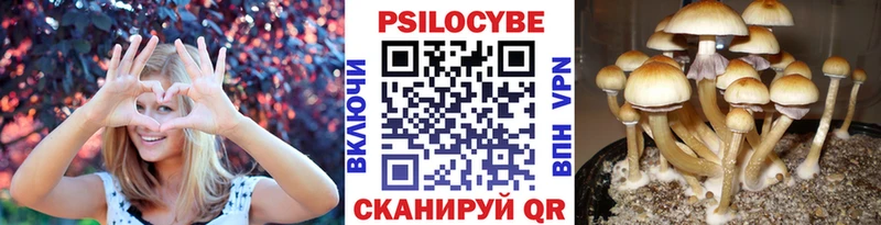 Галлюциногенные грибы мухоморы  где продают   Калачинск 